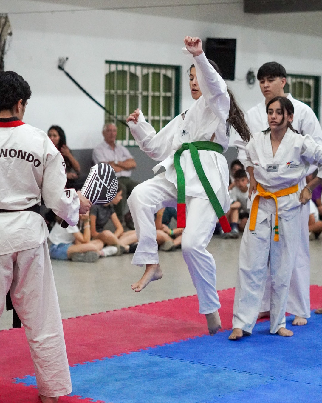 Taekwondo